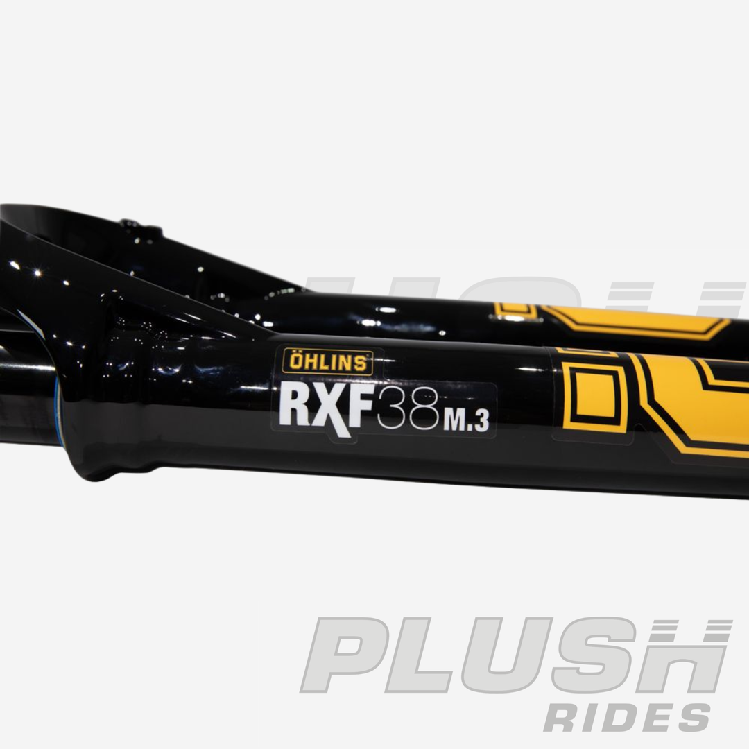 RXF38 m.3