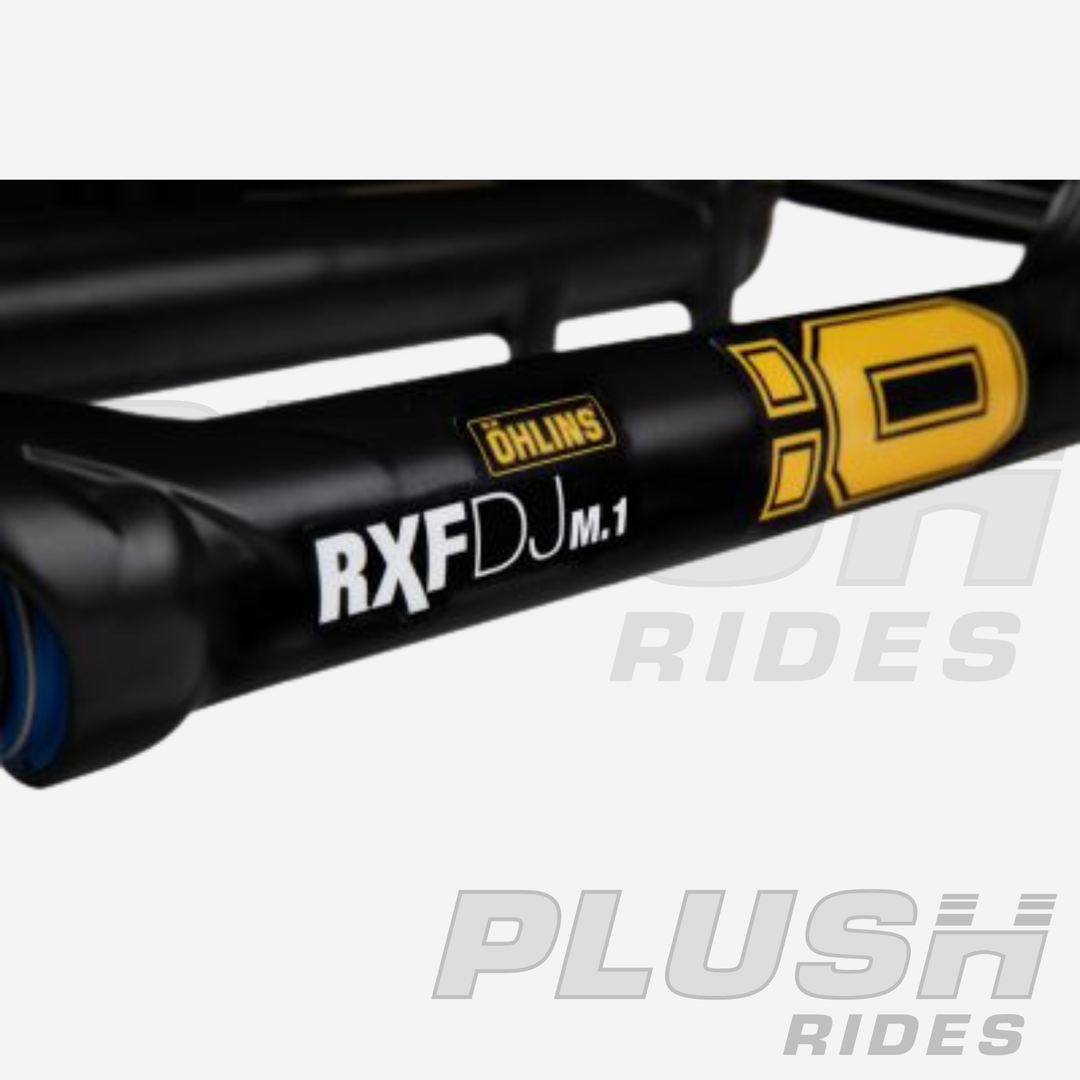 RXFDJ m.1