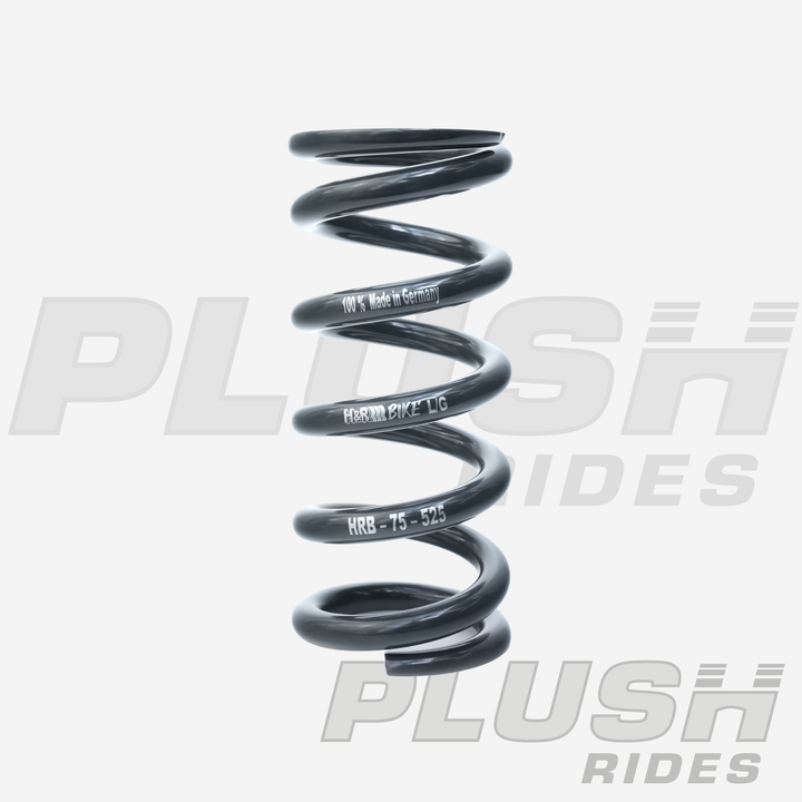 H&R Bike Performance Springs 65-75mm
