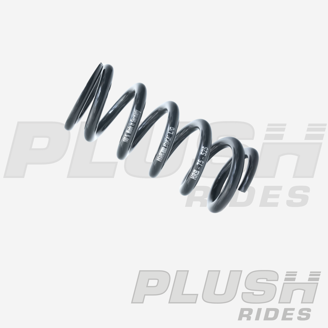 H&R Bike Performance Springs 50-65mm